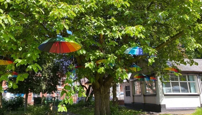 tree with umbrellas hanging from the branches with white building in right corner