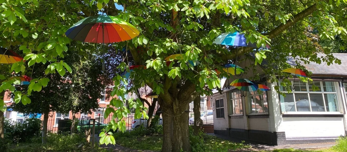 Colourful umbrellas hanging in a tree outside a community building