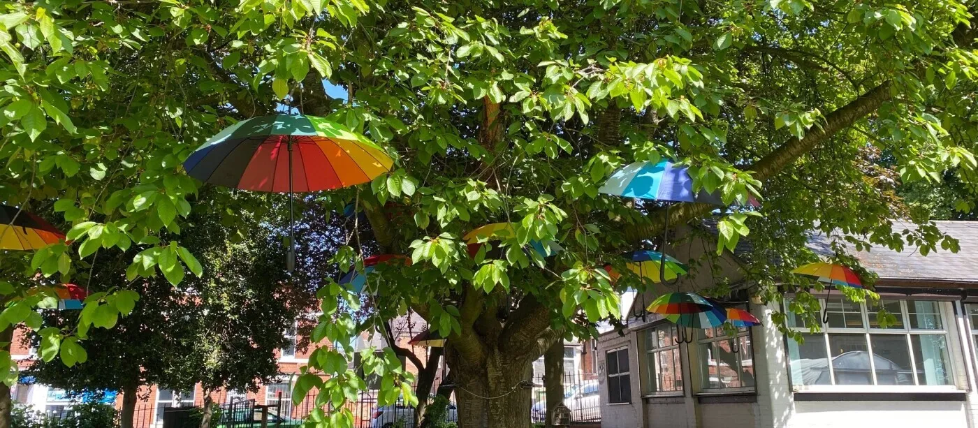Colourful umbrellas hanging on a tree outside Cherry Lodge