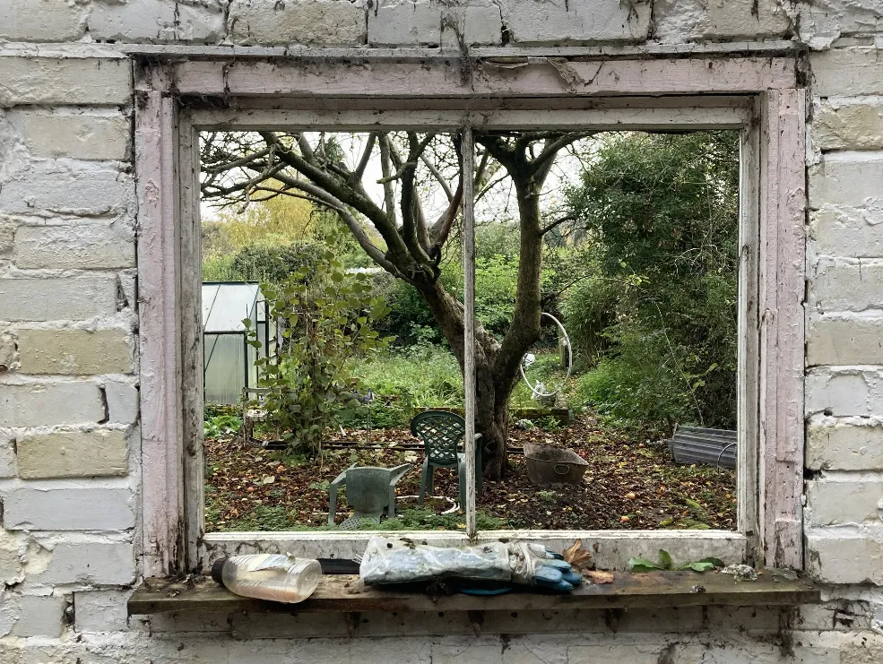 A window with a view to an allotment plot